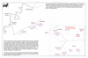 coo0a07 morton ormesby_thumb.gif